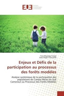Enjeux et defis de la participation au processus des forets modeles - analyse systemique de la parti