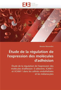 Etude de la regulation de l'expression des molecules d'adhesion