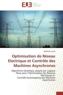 Optimisation de reseau electrique et controle des machines asynchrones
