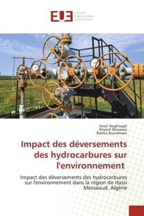 Impact des déversements des hydrocarbures sur l'environnement : Impact des déversements des hydrocarbures sur l'environnement dans la région de Hassi Messaoud, Algé