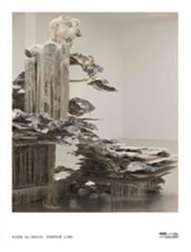 Diana al hadid phantom limb