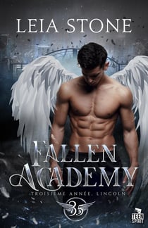 Troisième année, Lincoln : Fallen Academy, T3.5
