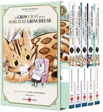 Le gros chat et la sorciere grincheuse : coffret Tomes 1 à 5