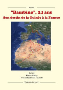 "Bambino", 14 ans : Son destin de la Guinée à la France