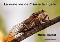 La vraie vie de crissie la cigale