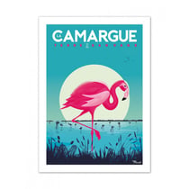 Affiche 50x70 «la camargue, flamingos»