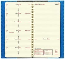 Agenda Italsept S 8x17 Impala