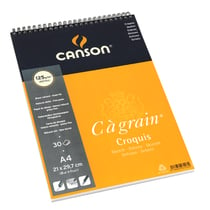 Album de papier C à Grain A3 - 125 g/m² - 30 feuilles Canson chez