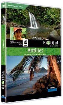 Antilles
