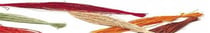 BOBINE RAPHIA NATUREL COULEUR BOBINE RAPHIA NATUREL COULEUR 50G ROSE