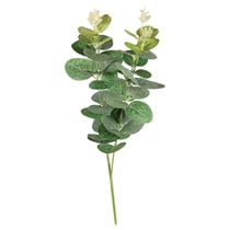 Branche d'eucalyptus Rayher - 34 cm
