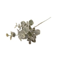 Branche de buis givré - 20 cm
