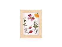 Cadre en bois pour herbier - DIY