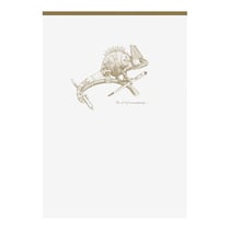 CARN FLYING WHITE A5 140P LG A