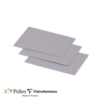25 cartes Pollen 70x95 mm  - Gris koala