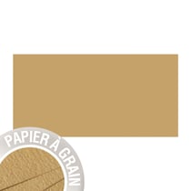 5 cartes Grain de Pollen 105x210 mm - bois