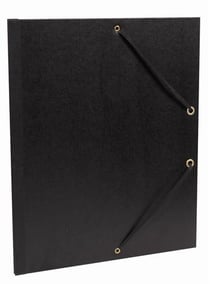 Carton à dessin - 37x52cm - demi raisin noir