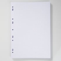 Feuilles simples 4 coloris - Format A4 21 x 29,7 cm - 200 pages