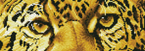 Kit broderie diamant - Diamond Dotz - Diamond Dotz - Les yeux du guépard