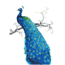 Kit broderie diamant - Diamond Dotz - Diamond Dotz - Paon bleu