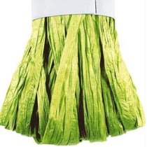 Echeveau raphia vert clair