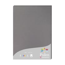 1 étui de 25 feuilles Pollen 210x297 mm 210g - Gris acier