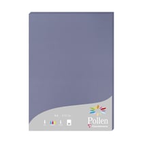 RAMETTE A4 210G MYOSOTIS X25