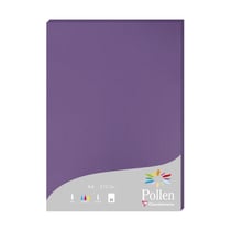 1 étui de 25 feuilles Pollen 210x297 mm 210g - Violine