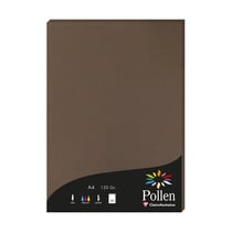 1 étui de 50 feuilles Pollen 210x297 mm 120g - Marron taupé