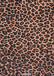 FEUILLE DECOPATCH 30X40 N°207