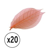 20 feuilles séchées orange - 8 cm