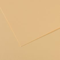Feuille MI-TEINTES® Canson - 50 x 65 cm - 160g/m² - lichen