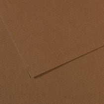 Feuille Mi-Teintes - 50x65cm - 160g - sépia
