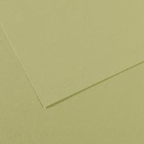 Feuille MI-TEINTES® Canson - 50 x 65 cm - 160g/m² - vert amande