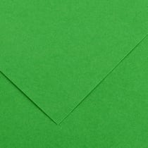 Papier Canson - Iris Vivaldi - 1 feuille - Vert vif - 50 x 65 cm - 120g/m²
