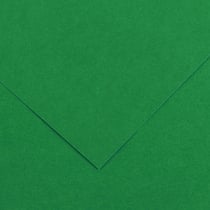 Papier Canson - Iris Vivaldi - 1 feuille - Vert mousse - 50 x 65 cm - 120g/m²
