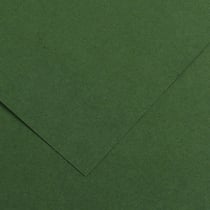 Papier Canson - Iris Vivaldi - 1 feuille - Sapins - 50 x 65 cm - 120g/m²