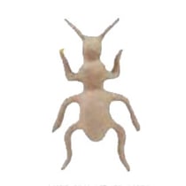 Fourni en papier mâché - 3 x 9,5 x 16,5 cm