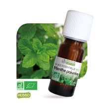 Huile essentielle de menthe poivrée bio - 10 ml