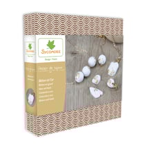 Atelier de bijoux - Ciment Et Feuilles D'Or