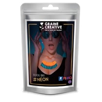 Kit Fimo - Néon - Plastron