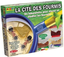 La cite des fourmis