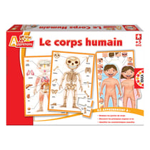 LE CORPS HUMAIN