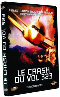 Le Crash du vol 323