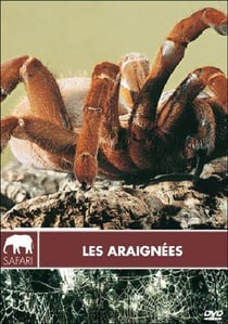 Les Araignées