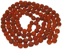 Mala sadou