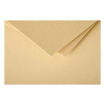 25 marque-places Pollen 85x80 mm - Caramel