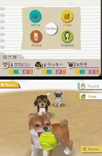 Nintendogs teckel et ses amis