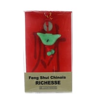 Porte-bonheur Feng-shui - Grande richesse