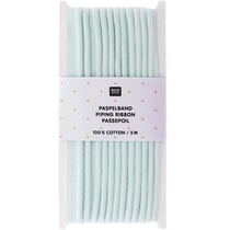 Passepoil - 3 mètres - Menthe